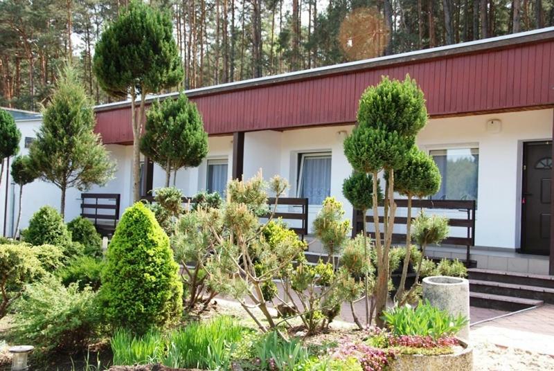 Osrodek Wypoczynkowy Sosenka Apartment Zalom  Exterior photo